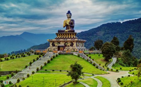 Experience Serenity and Adventure with the Best Pelling Tour Package