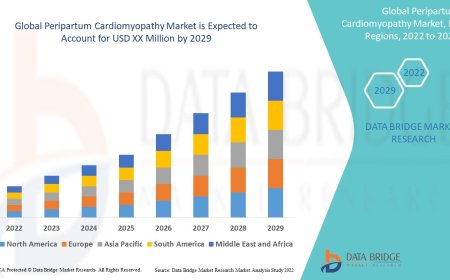Peripartum Cardiomyopathy Market Trends: Growth, Share, Value, Size, and Insights
