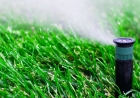 How Irrigation Services Can Save Water and Boost Your Landscape