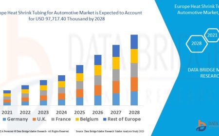 Europe Heat Shrink Tubing for Automotive Market is growing with a CAGR of 6.1%