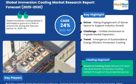 Immersion Cooling Market Size & Share 2025: Key Trends & Projections
