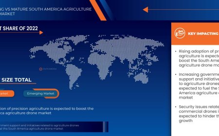 U.S. Social Determinants of Health (SDOH) Market Size, Status and Industry Outlook During 2030