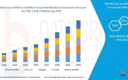 Middle East and Africa Satellite Transponder Market Size, Status and Industry Outlook During 2030