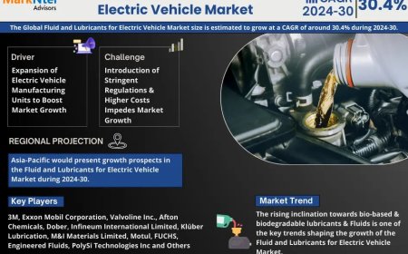 Fluid and Lubricants for Electric Vehicle Market Overview 2024–2030: Share, Size & Future Trends
