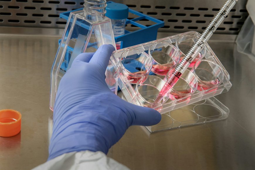Decoding RNA-Protein Interactions through eCLIP
