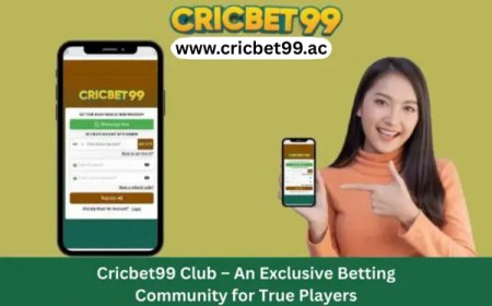 Cricbet99 Live Betting Features: Real-Time Odds Updates